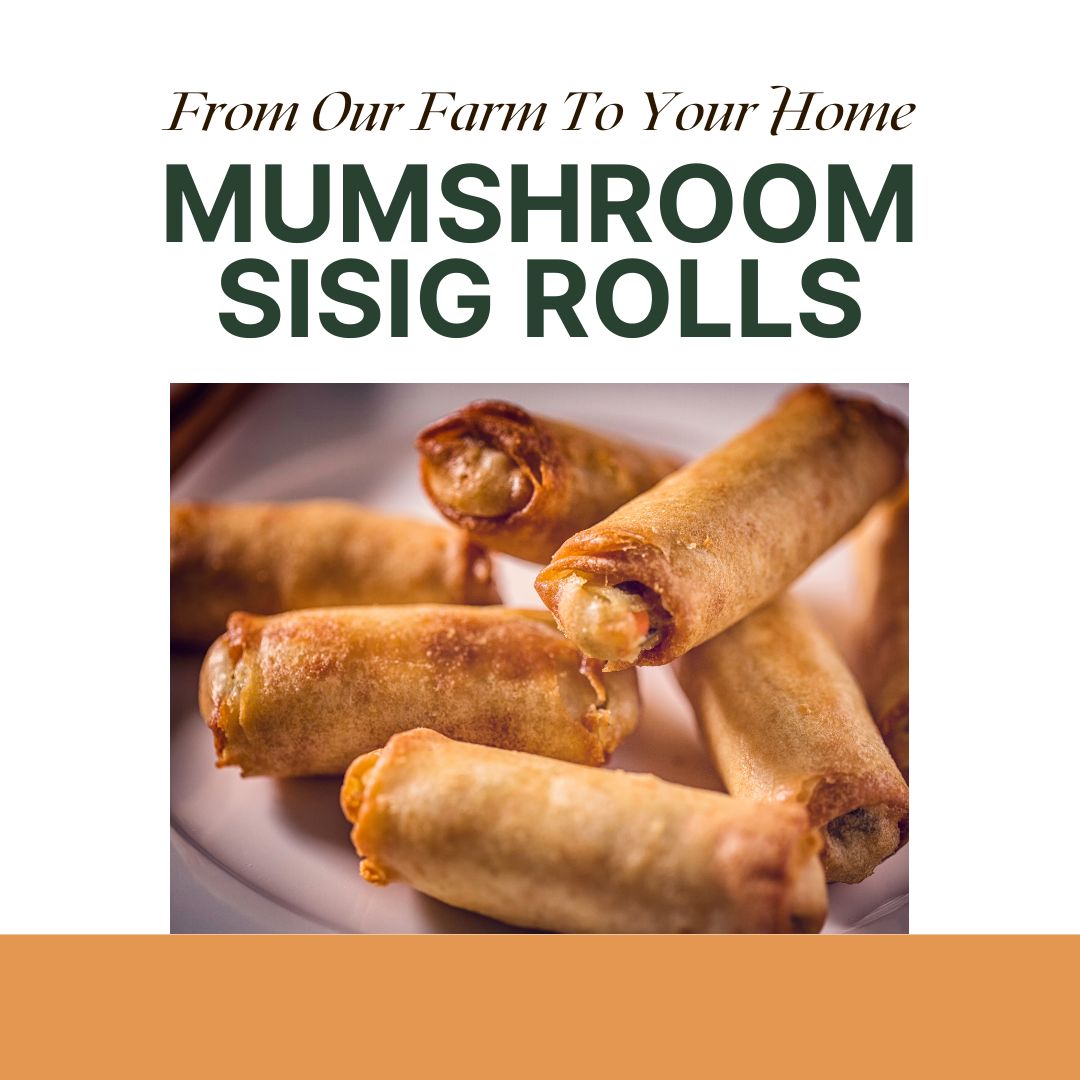 MUMshroom Sisig Rolls (Spring Rolls/Lumpia) 10pcs. | Iskaparate