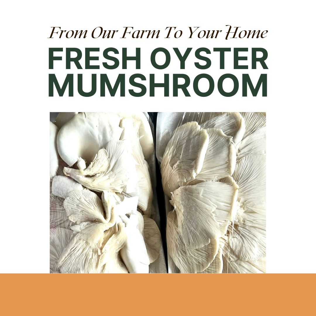 Fresh Oyster Mushrooms 300g | Iskaparate