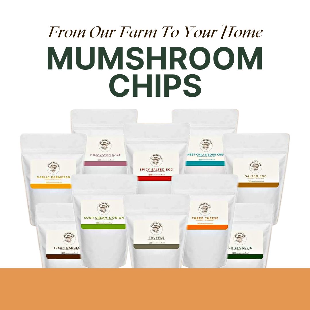 MUMshroom Chips 100g | Iskaparate