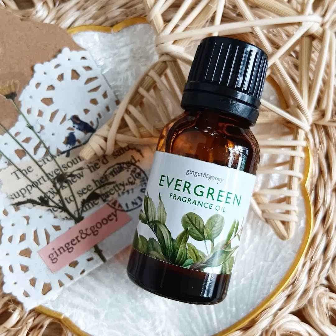 Evergreen fragrance oil 15ml | Our Market