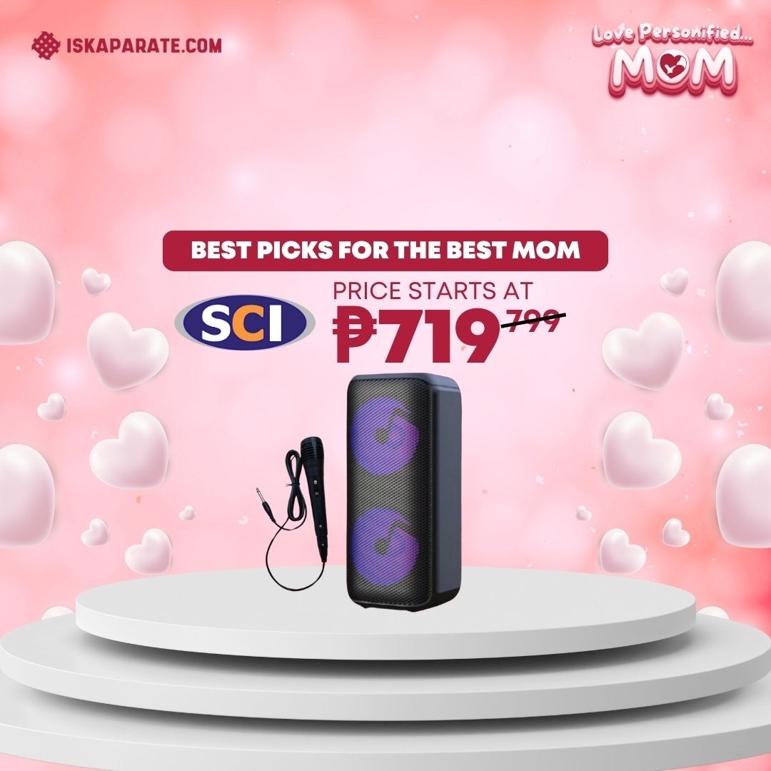 Wireless Karaoke Speaker with Wired Microphone | Our Market